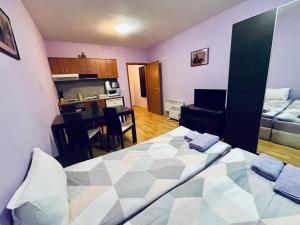 a bedroom with a large bed and a kitchen with a kitchen at Predela 1 - Studio 10 near Bansko Ski Lift in Bansko