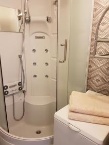 Ett badrum på Riga City 2 Bedroom Lux Apartments