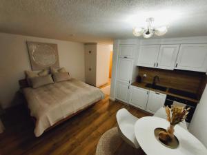 Kuchyň nebo kuchyňský kout v ubytování Apartment Panorama