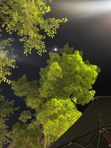 Φωτογραφία από το άλμπουμ του Habitación Individual Luz & Calma σε Μεντόσα