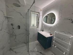 a bathroom with a shower and a sink and a mirror at Le Cube Strasbourg - Marlenheim in Marlenheim +3 photos