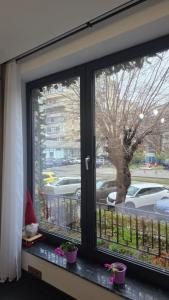 a window with a view of a street at Olive Ultracentral Craiova in Craiova +4 photos