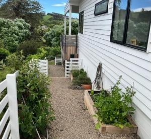 马塔卡纳Garden Apartment的花园旁边,房子里种着一些植物 更多9张照片