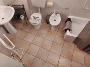 a bathroom with a toilet and a sink and a bath tub at Villetta Rosa in Lavena Ponte Tresa