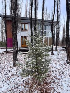 a christmas tree in front of a house at Casa Sol de Enero in Malargüe