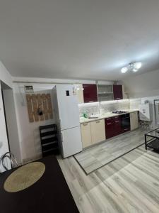 Kuchyň nebo kuchyňský kout v ubytování Apartament în Caransebeș