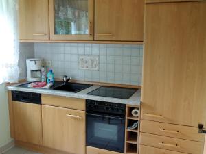 Kuchyň nebo kuchyňský kout v ubytování Gästehaus Am Hirtenberg