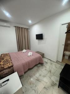a bedroom with a bed and a television in it at Casa Rosa in Monterotondo