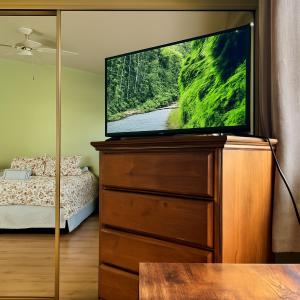 TV a/nebo společenská místnost v ubytování Meadow Harvest Suite with TV and private bathroom