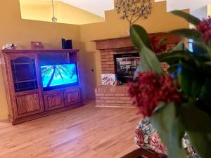 TV a/nebo společenská místnost v ubytování Peach Blossom Country House