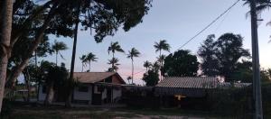 プラドにあるCabana Terra Chã Cumuruxatibaの前にヤシの木がある家
