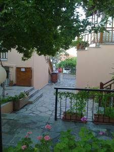 Zahrada ubytování Hotel Alexandra