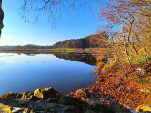 a view of a lake with trees and the water at Tiny House 1 im schönen Allgäu mit großem Garten, Naturnah in Bad Wurzach