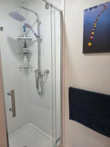 ein Badezimmer mit Dusche mit Glastür in der Unterkunft Harleston House - Accomodation and Vineyard in Sefton