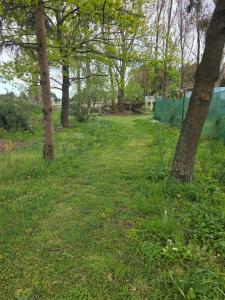 Φωτογραφία από το άλμπουμ του Harleston House - Accomodation and Vineyard σε Sefton