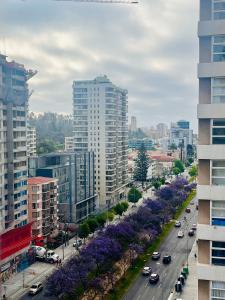 Γενική άποψη της πόλης Βίνα Ντελ Μαρ ή θέα της πόλης από  αυτό το διαμέρισμα