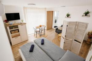 Μια τηλεόραση ή/και κέντρο ψυχαγωγίας στο Ticina apartment