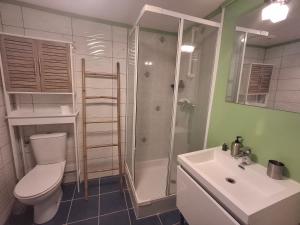 a bathroom with a shower and a toilet and a sink at Le Repaire de Belette in Coulounieix-Chamiers +12 photos