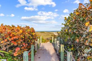 Природа в окрестностях дома для отпуска