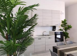 a kitchen with white cabinets and a green plant at Cappuccini Friends in Peschiera del Garda