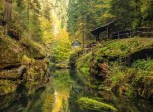 Φυσικό τοπίο κοντά σε αυτό το διαμέρισμα