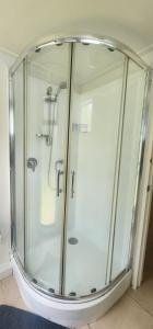 MotungararaCasa de los Tūi的浴室里有玻璃淋浴房