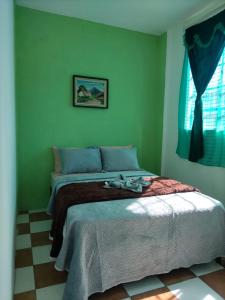 Nawal Hostel في سانتا كروز لاغونا: غرفة نوم بسرير في غرفة خضراء