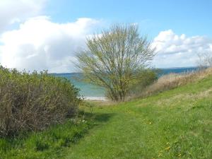 Příroda nedaleko prázdninového domu