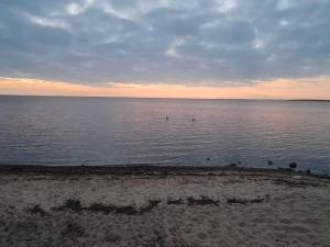 Příroda nedaleko prázdninového domu + 35 fotografií