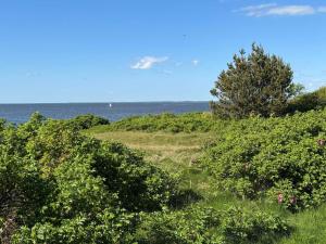 Příroda nedaleko prázdninového domu