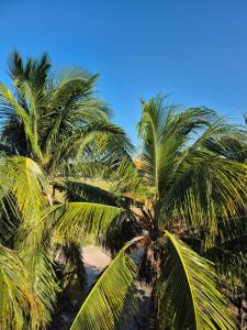 Galeriebild der Unterkunft Casa Tio in El Cuyo