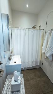 un bagno bianco con lavandino e doccia di The Cube Cow Bay Suite a Cowichan Bay