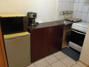 Η κουζίνα ή μικρή κουζίνα στο Downtown Studio Apartament