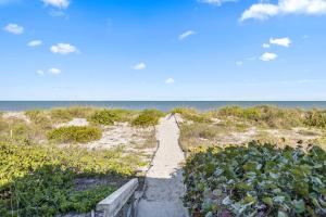 Природа в окрестностях дома для отпуска