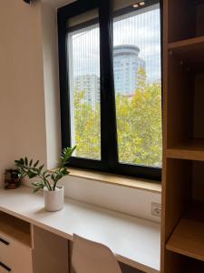 Φωτογραφία από το άλμπουμ του Tirana Urban Oazis -Central & Steps to Attractions στα Τίρανα +2 φωτογραφίες