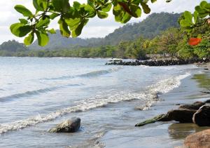 Φυσικό τοπίο κοντά σε αυτός ο ξενώνας