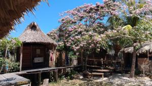 a small house with a tree with pink flowers at Casa Balam Sisal in Sisal +18 photos