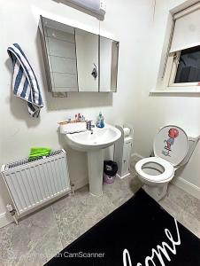 MonasterevinPrecious Home的带白色水槽和马桶的浴室