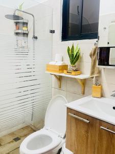 蓬塔卡纳Habitación en Casa Familiar con Baño Privado en Punta Cana的带马桶和水槽的浴室
