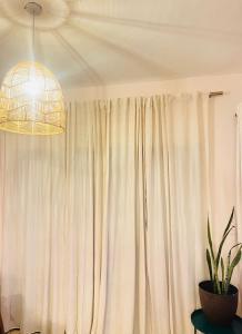 蓬塔卡纳Habitación en Casa Familiar con Baño Privado en Punta Cana的一间设有白色窗帘和盆栽的房间