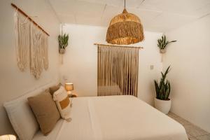 多米尼克Tribe Boutique Hotel - Adults Only的卧室里有一张白色的床和一张沙发 更多55张照片