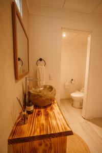 多米尼克Tribe Boutique Hotel - Adults Only的一间带石质水槽和卫生间的浴室