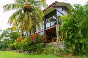 a house with a palm tree in front of it at Jodokus Inn in Montezuma