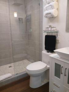 a bathroom with a shower and a toilet and a sink at Studio Zen in Kirkland