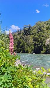 Naturlandskabet i nærheden af kroen