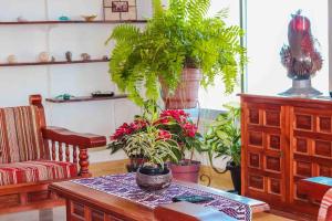 Φωτογραφία από το άλμπουμ του House on the sea - Casa del Cangrejo Azul σε Monte Gordo +18 φωτογραφίες