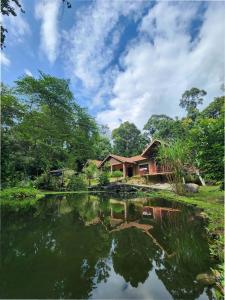 Teratak Jannah Homestay & Resort في كوالا لكانغسار: منزل على جانب نهر مع منزل