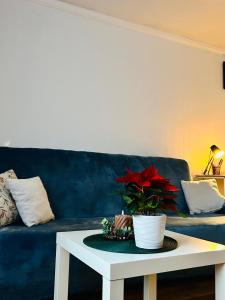 a blue couch with a white table with a plant on it at Duży apartament z kuchnią i łazienką w centrum Namysłowa in Namysłów