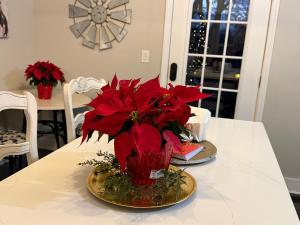 Φωτογραφία από το άλμπουμ του Clayton's 1910 Restored Mill House-near Burlington σε Graham