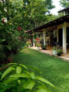 Cashew Villa Hiriketiya في Hiriketiya: ساحة بها عشب أخضر وأشجار ومبنى